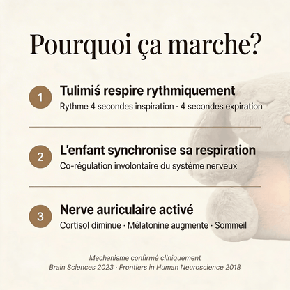 LUMIO - Douceur respirante